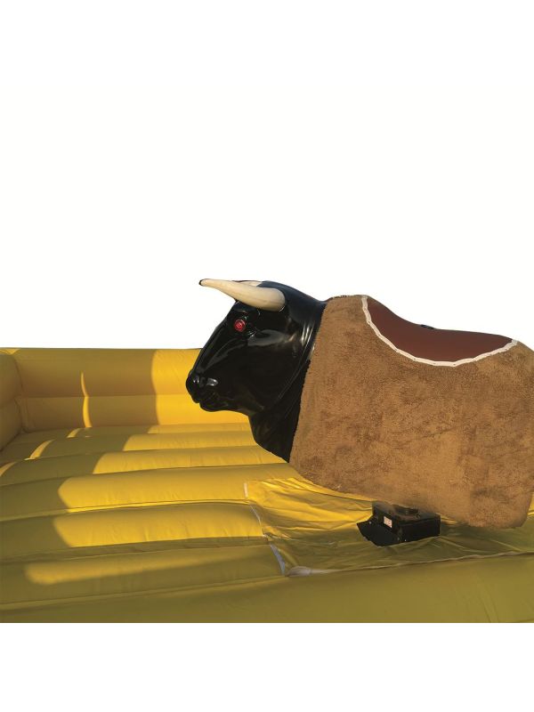 Bull