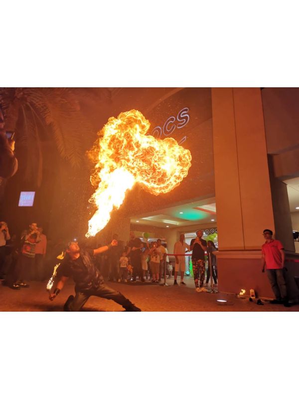 FIRE SHOW