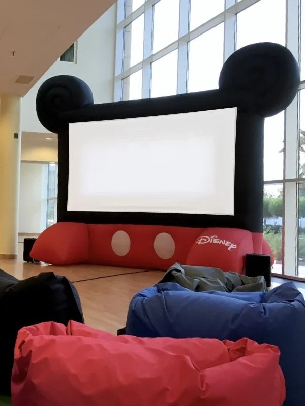 Mickey Mouse Package